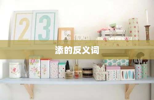 添的反义词