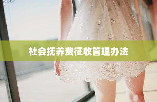 社会抚养费征收管理办法
