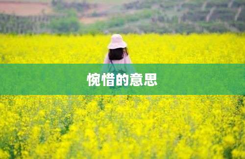 惋惜的意思