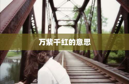 万紫千红的意思