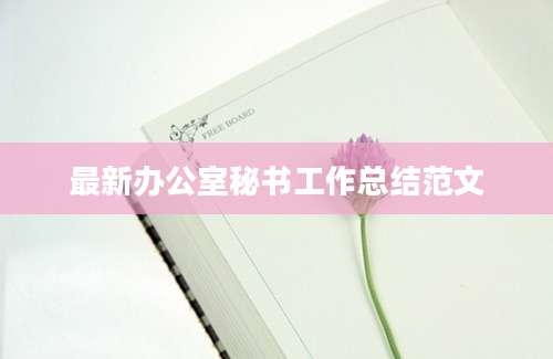 最新办公室秘书工作总结范文