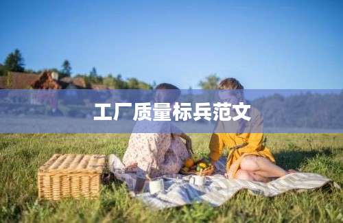 工厂质量标兵范文