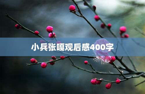 小兵张嘎观后感400字