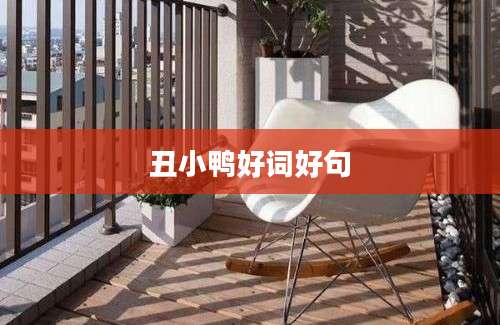 丑小鸭好词好句