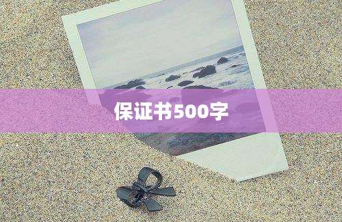 保证书500字