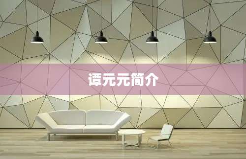 谭元元简介