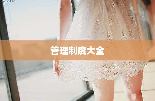 管理制度大全