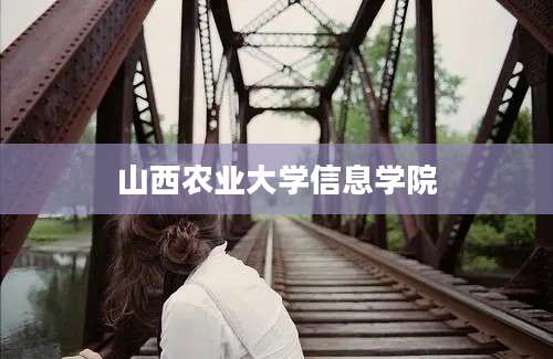 山西农业大学信息学院