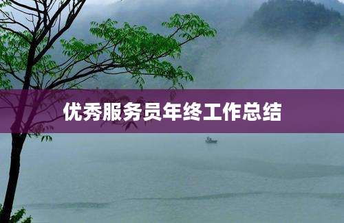 优秀服务员年终工作总结