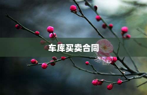 车库买卖合同