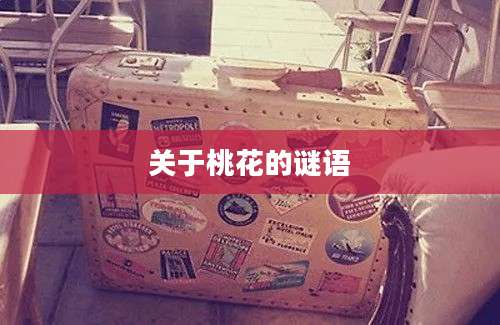 关于桃花的谜语