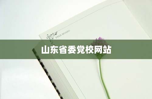 山东省委党校网站