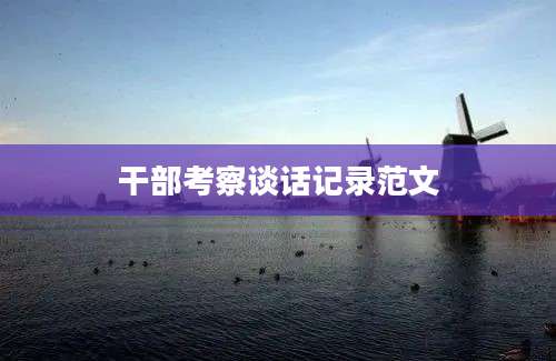干部考察谈话记录范文