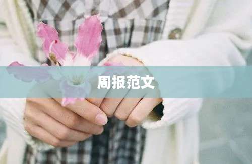 周报范文