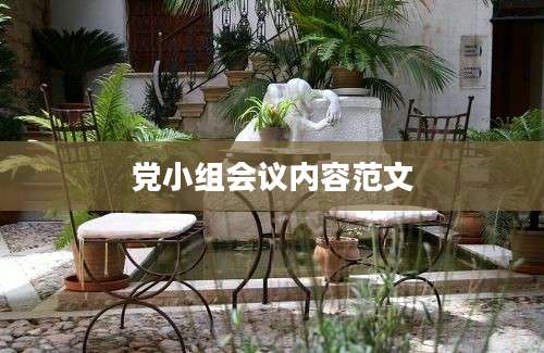 党小组会议内容范文