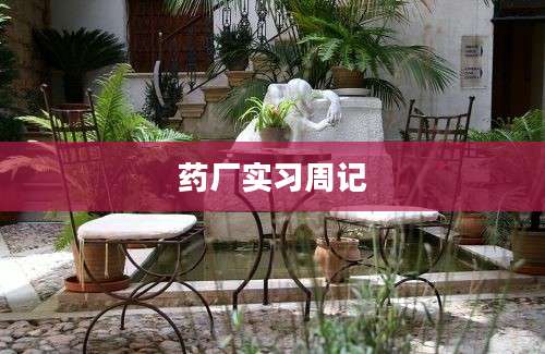 药厂实习周记