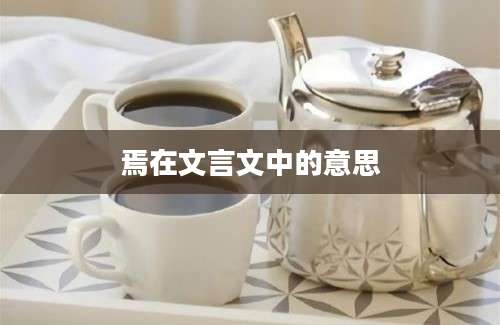 焉在文言文中的意思