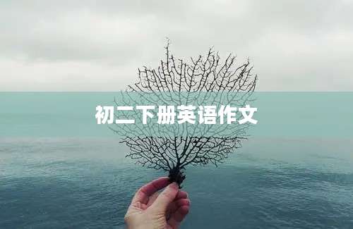 初二下册英语作文