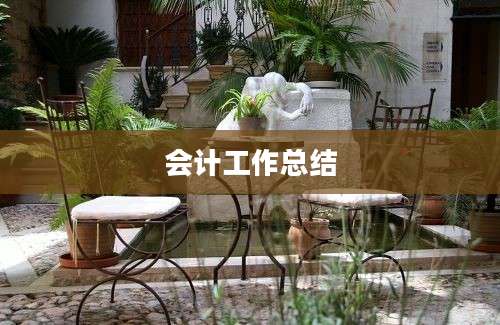 会计工作总结
