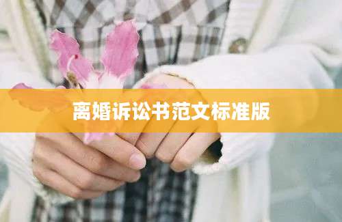 离婚诉讼书范文标准版