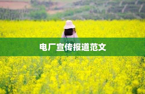 电厂宣传报道范文