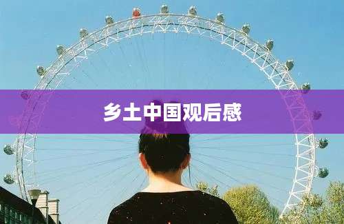 乡土中国观后感