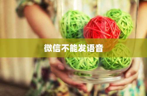 微信不能发语音