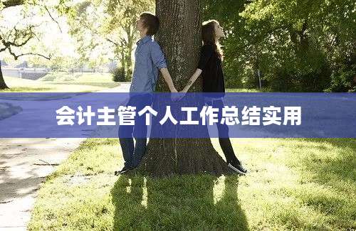 会计主管个人工作总结实用