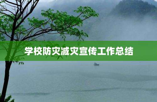 学校防灾减灾宣传工作总结