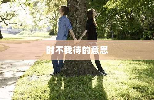 时不我待的意思