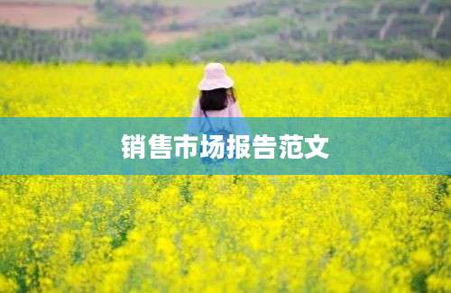 销售市场报告范文