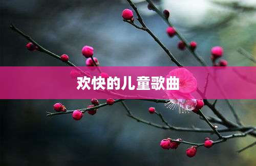 欢快的儿童歌曲