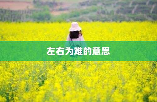 左右为难的意思