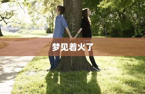 梦见着火了