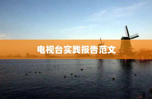 电视台实践报告范文