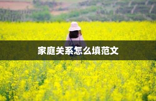 家庭关系怎么填范文
