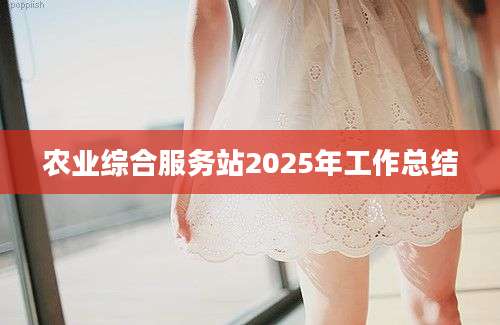 农业综合服务站2025年工作总结