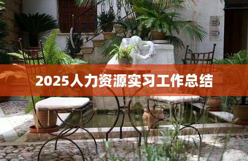 2025人力资源实习工作总结