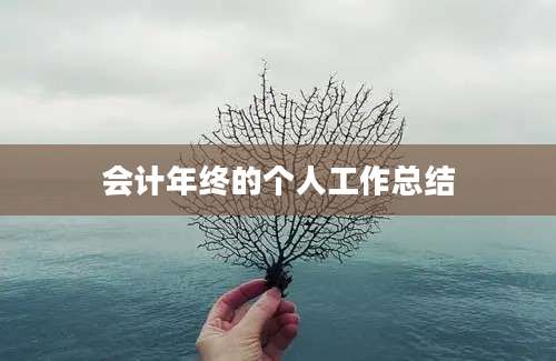 会计年终的个人工作总结