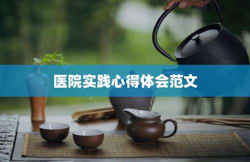 医院实践心得体会范文