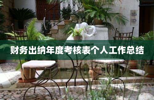 财务出纳年度考核表个人工作总结