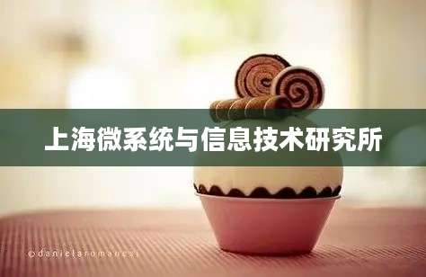 上海微系统与信息技术研究所