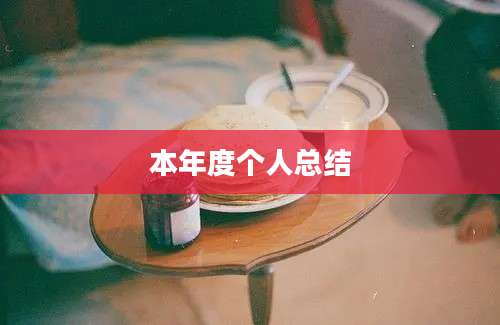 本年度个人总结
