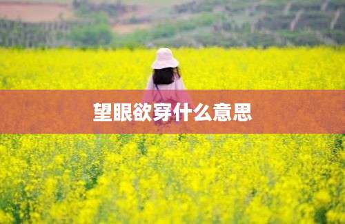 望眼欲穿什么意思
