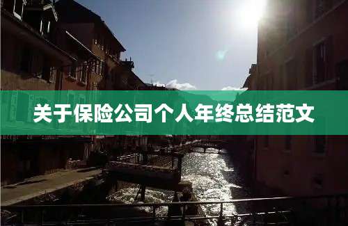 关于保险公司个人年终总结范文