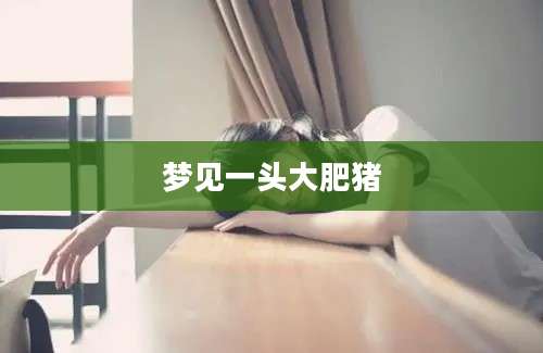 梦见一头大肥猪