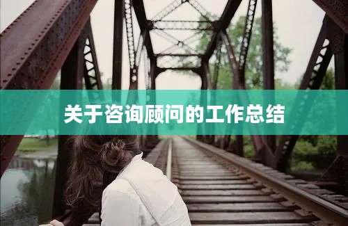 关于咨询顾问的工作总结