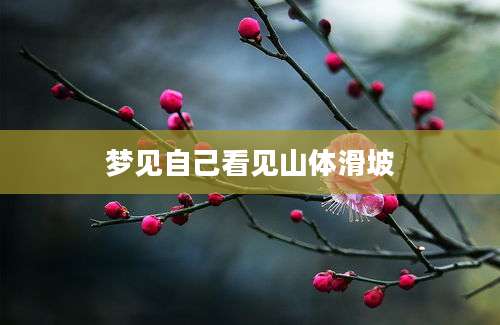 梦见自己看见山体滑坡