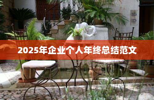 2025年企业个人年终总结范文