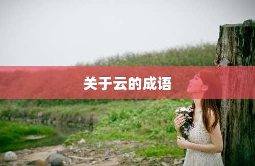 关于云的成语